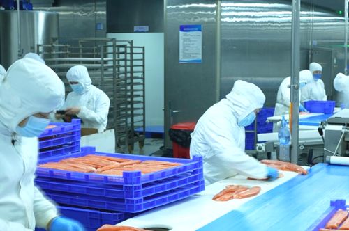 新疆真的產(chǎn) 海鮮 請隨記者到天山看一看 圖說新聞